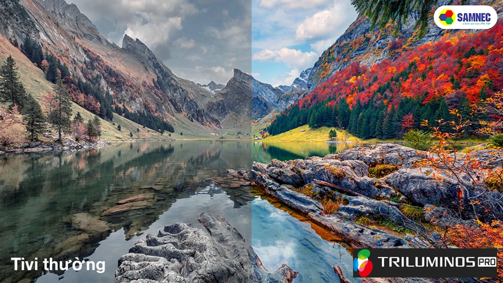 Google Tivi Sony 4K 65 inch K-65S30- công nghệ hình ảnh 
