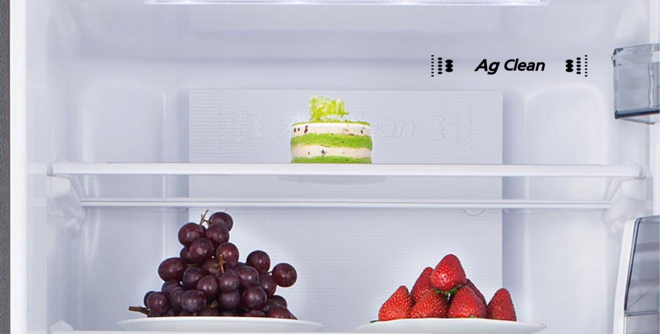 Tủ lạnh Panasonic Inverter 322 lít NR-BV360GAVN - Ag Clean