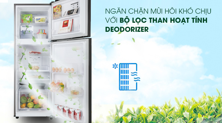 Bộ lọc than hoạt tính Bộ lọc than hoạt tính