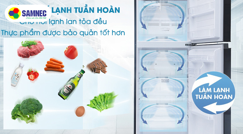 Top ba mẫu tủ lạnh Toshiba được đánh giá cao nhất năm 2020