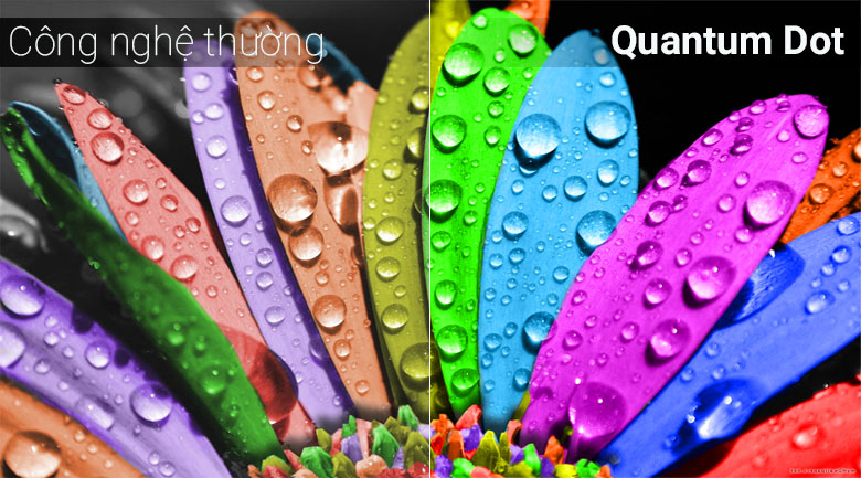 quantum-dot-samsung