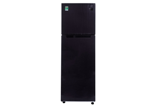 Tủ lạnh Samsung Inverter 256 lít RT25M4033UT/SV