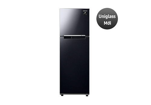 Tủ lạnh Samsung Inverter 256 lít RT25M4032BU/SV