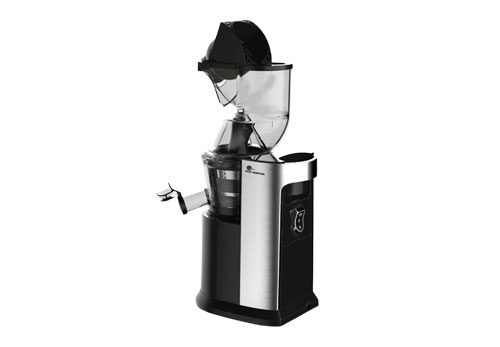 Máy Ép Chậm Trái Cây Chính Hãng Fuji Master FJM-2822