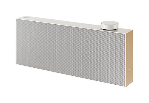 Loa Samsung AKG VL551/XV