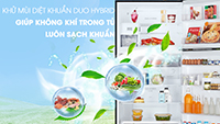 Công nghệ khử mùi kháng khuẩn Duo Hybrid trên tủ lạnh Toshiba