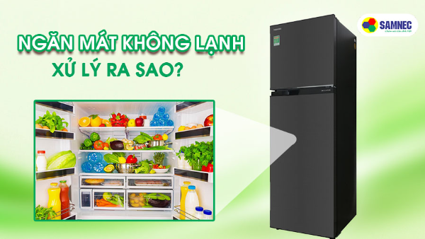 Tủ lạnh ngăn mát không lạnh xử lý như thế nào?