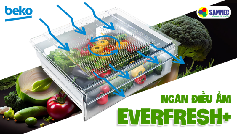 Tìm hiểu về ngăn điều ẩm EverFresh+ trên tủ lạnh Beko  