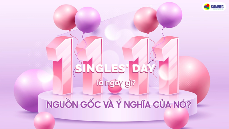 Ngày 11/11 là ngày gì? Nguồn gốc và ý nghĩa của nó? 