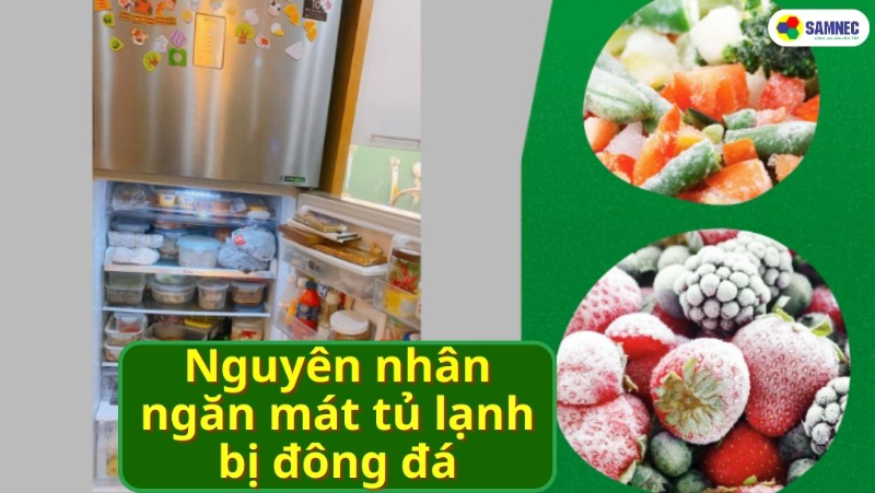 Cách khắc phục ngăn mát tủ lạnh bị đóng đá đơn giản, hiệu quả