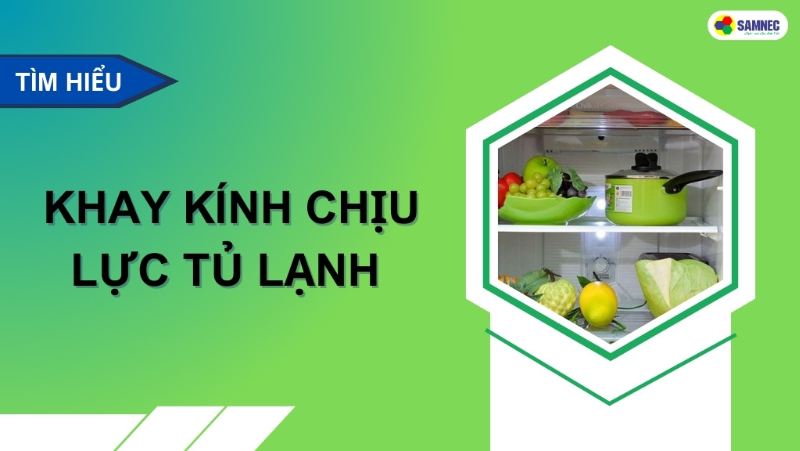 Bạn có biết khay kính chịu lực tủ lạnh là gì không? 