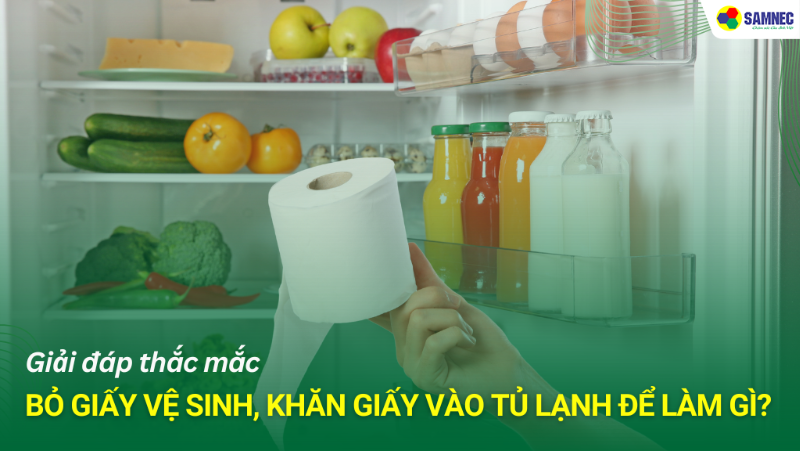 Bỏ giấy vệ sinh, khăn giấy vào tủ lạnh để làm gì? Lợi ích bất ngờ mang lại
