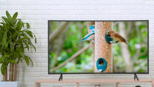 Những lý do không thể bỏ qua Smart Tivi Samsung 4K RU7300