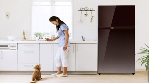 Các công nghệ có trong tủ lạnh Toshiba