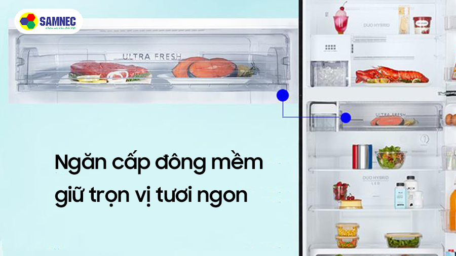 Công nghệ cấp đông mềm là gì? Những lợi ích trong bảo quản thực phẩm