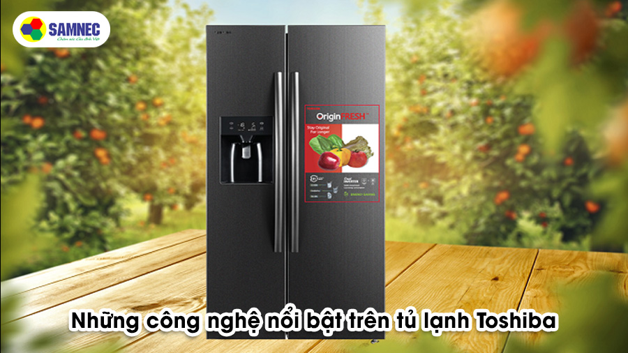Tủ lạnh Toshiba có tốt không? Những công nghệ nổi bật có trên tủ lạnh Toshiba