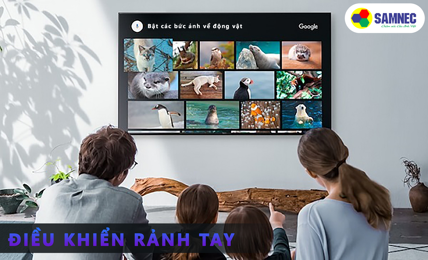Hướng dẫn cách sử dụng những tính năng thông minh trên Google Tivi Sony